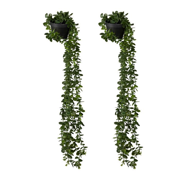 Relaxdays Plantes Artificielles Suspendues Lot de 2 Eucalyptus Réaliste en Pot Décor pour intérieur Vert/Noir