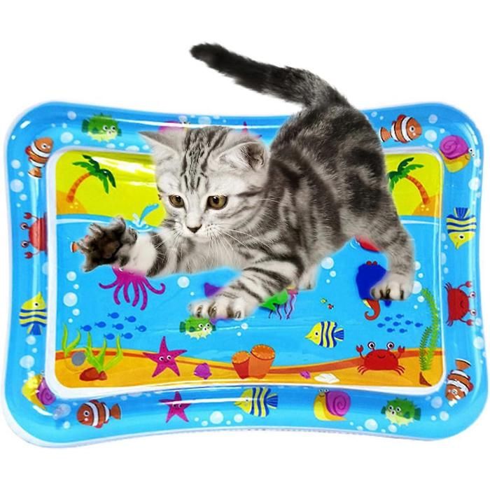 Tapis de jeu sensoriel aquatique pour chats jouets pour chats dintérieur qui sennuient tapis de jeu à picorer pour chats