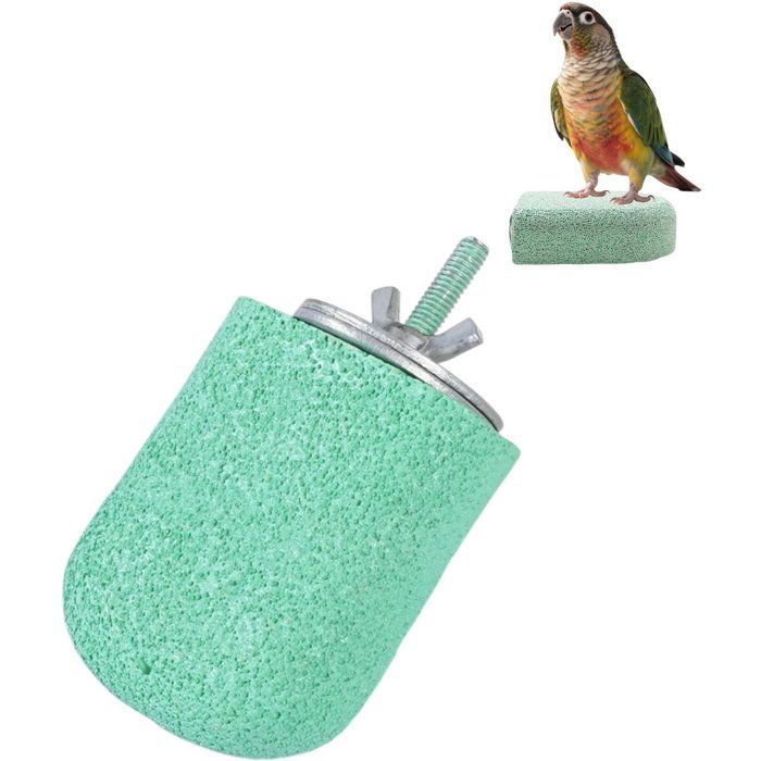 Perchoir Pour Oiseaux Abrasif Lime Griffes Et Bec Modèle Cône Accessoire Cage Perruche Calopsitte Conure Vert