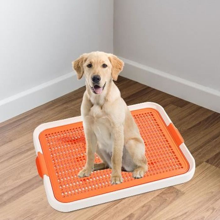 Bac à litière - Premium - 48x36 cm - Pour chien - Confortable - Facile à nettoyer