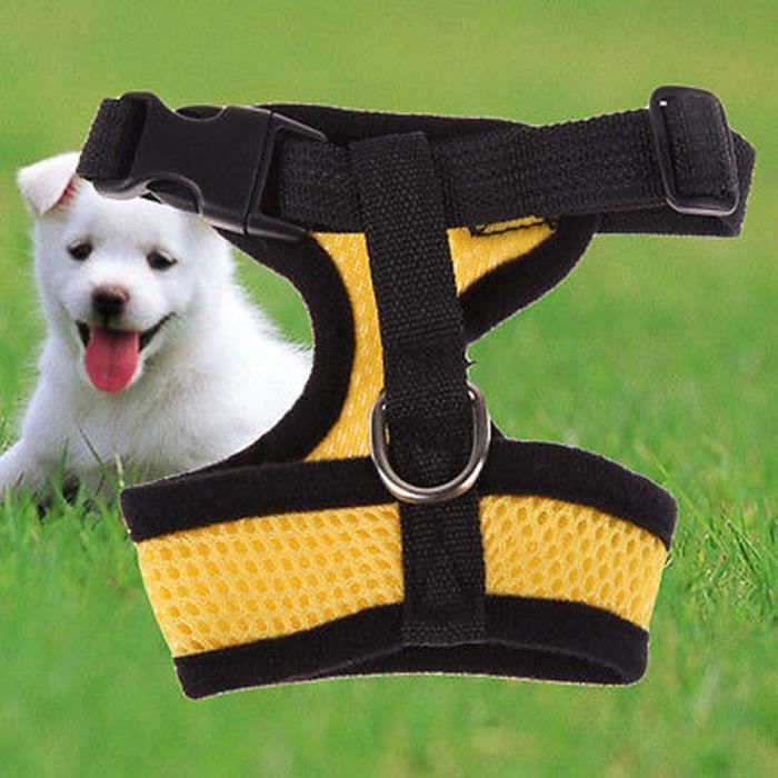 Harnais Et Laisse Pour Petit Chien Ou Chat – Respirant, Réglable, Sécurité