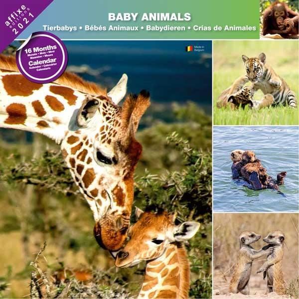 Calendrier Bebe Animaux 21 Affixe Achat Vente Calendrier Ephemeride Calendrier Bebe Animaux 2 Cdiscount Calendrier Bebe Animaux 21 Affixe Achat Vente Calendrier Ephemeride Calendrier Bebe Animaux 2 Cdiscount