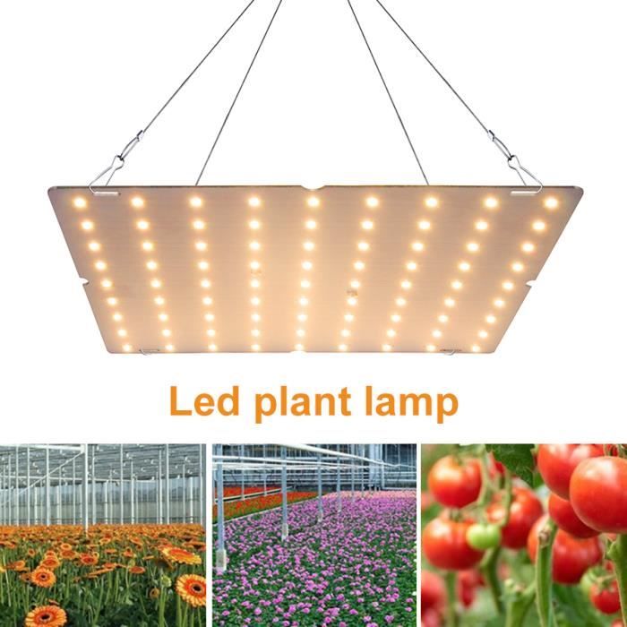 Lampe Horticole LED Croissance Floraison - QINGQUE - Universel - Blanc - 4000K - 169LED - 25*25*2cm