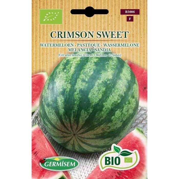Graines De Fèves Aguadulce Bio Germisem - Très Longues Gousses (25-30 Cm) - Semis De Février à Avril - Agriculture Biologique