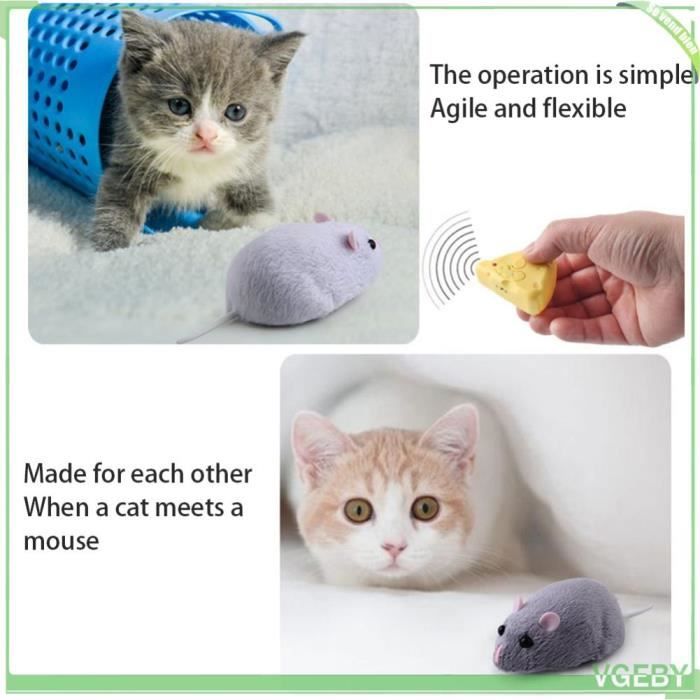 Meilleurs prix pour Jouet Souris Télécommandée - V GEBY - Rat Réaliste - 4 Modes - Contrôle Facile - 75 m Portée