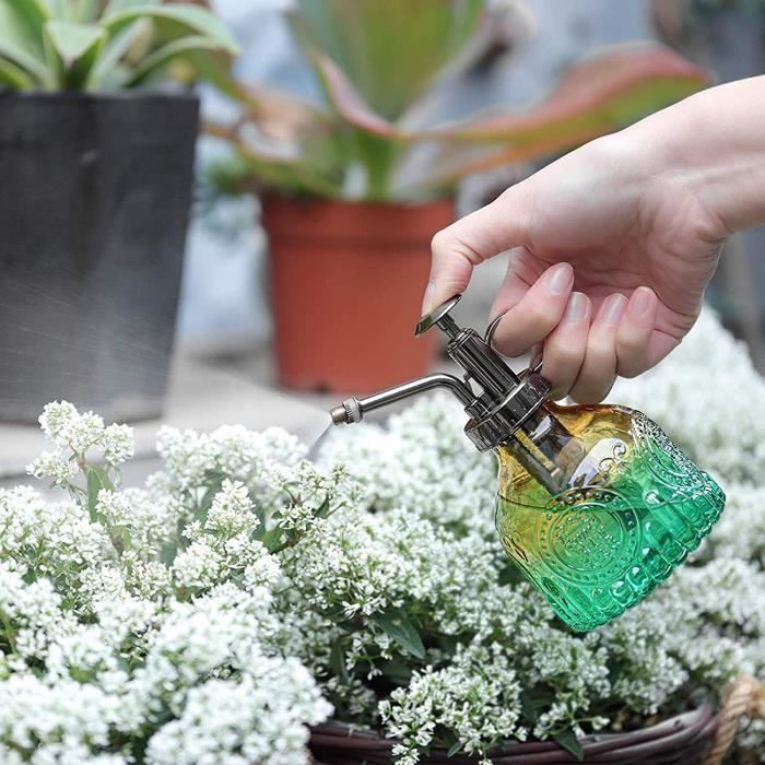 Vaporisateur brumisateur en verre pour plantes, petit pulvérisateur vintage  pour plantes succulentes avec pompe, arrosoir pour A480 - Cdiscount Jardin