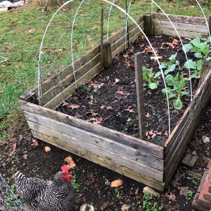 Arceau Pour Filet Anti Oiseaux Cerceau De Serre De Jardin Tunnel De Culture Pour Plantes Lot De 6 Arceau Pour Serre Tunnel