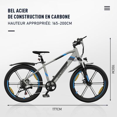 Vélo Electrique de 500 vélos à assistance électrique (VAE