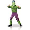 Déguisement classique Hulk série animée - Avengers - Vert - Garçon - A partir de 5 ans-0