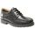 Chaussure bateau Roamers homme