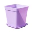 Pot de plante carré PIXNOR - Conteneur de jardin pour succulent - Violet - Avec trous de drainage-0