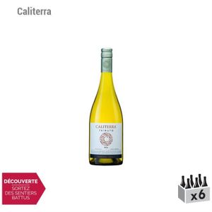 VIN BLANC Chili Tributo Chardonnay Blanc 2015 - Lot de 6x75c