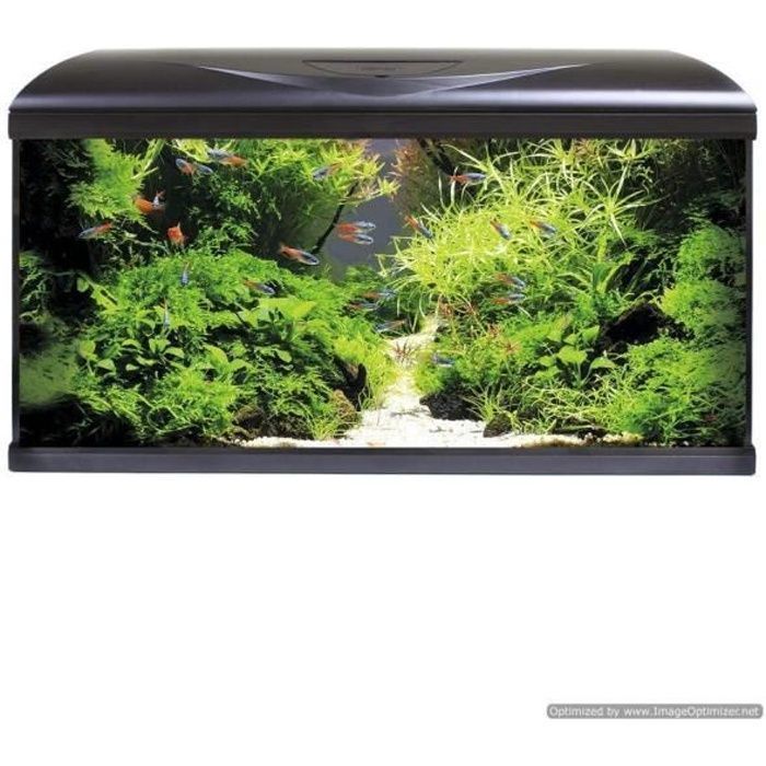 Aquarium complet 80x32x48 cm LED 85 litres Système AMTRA
