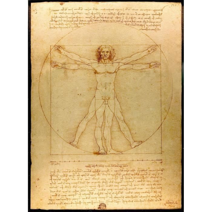Poster Affiche L'homme Leonard de Vinci Art Celebre Science Dessin 61cm x 83cm