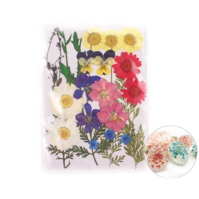 23pcs Chrysanthème Mélange Naturel Pressé De Fleurs Séchées De Feuilles De Plantes Sèches époxy Résine Uv Pendentif Nail Art Bijoux