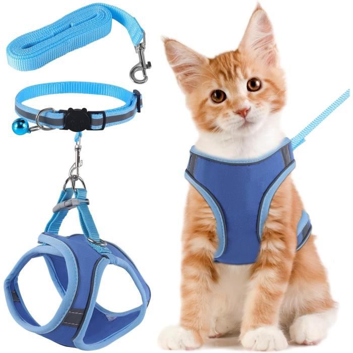 Harnais Pour Chat Ou Chiot Réglable Avec Laisse - Design étoile De Mer, Rose Et Bleu