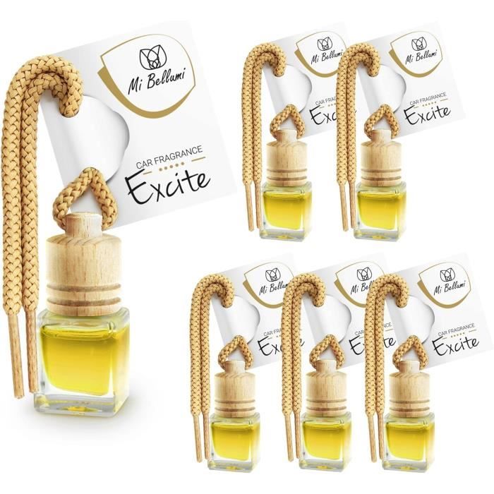 Désodorisant Voiture Parfum Pendentif Set - Parfum Voiture - Flacon De  Parfum Voiture Scents Freshener (Excite, 6 St)[u423]