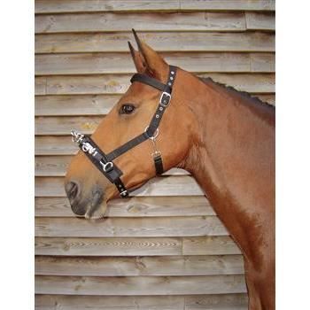 Cavecon noir Harry s Horse - 110 - brun