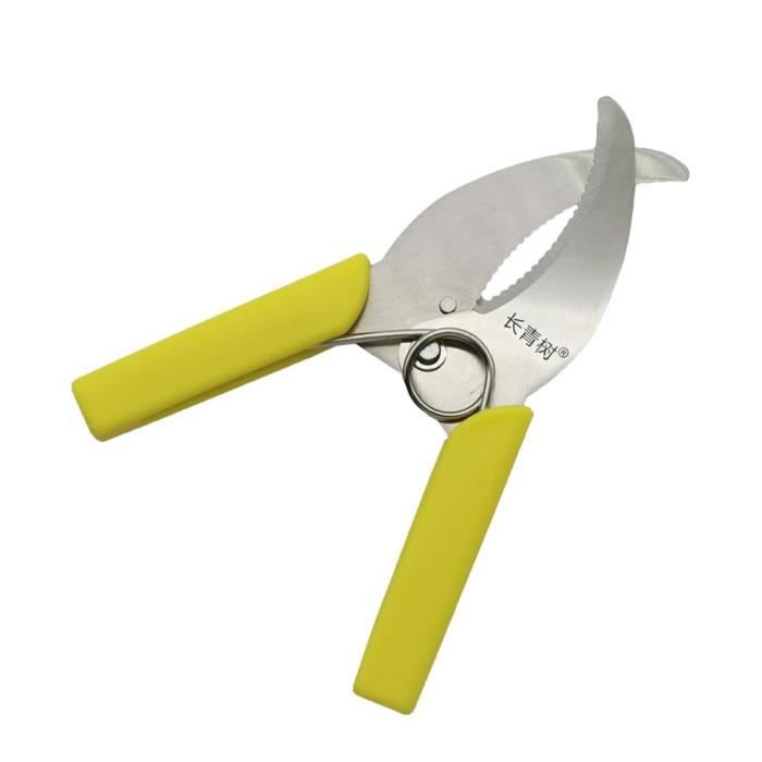 Ciseaux à éplucher Les Châtaignes, Cisailles à Ouvrir Les Châtaignes - Ciseaux à éplucher Les Ciseaux,Ouvre-châtaignes De Cuisine, Outil Polyvalent Pour Les Amis, La Famille Et Les Personnes âgées