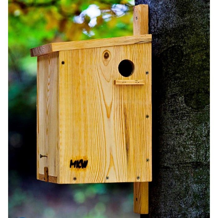 Nichoir Pour Écureuils Prêt à Poser - Maison Confortable Pour Rongeurs Du Jardin