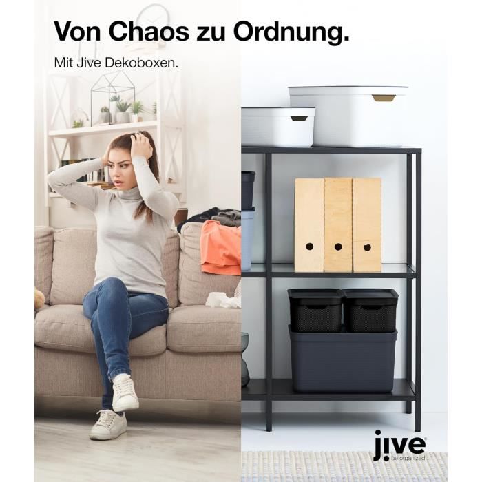 Rotho Evo Easy Boîte de rangement 44l avec couvercle, Plastique (PP recyclé), noir, 44l (58.5 x 39.0 x 27.9 cm