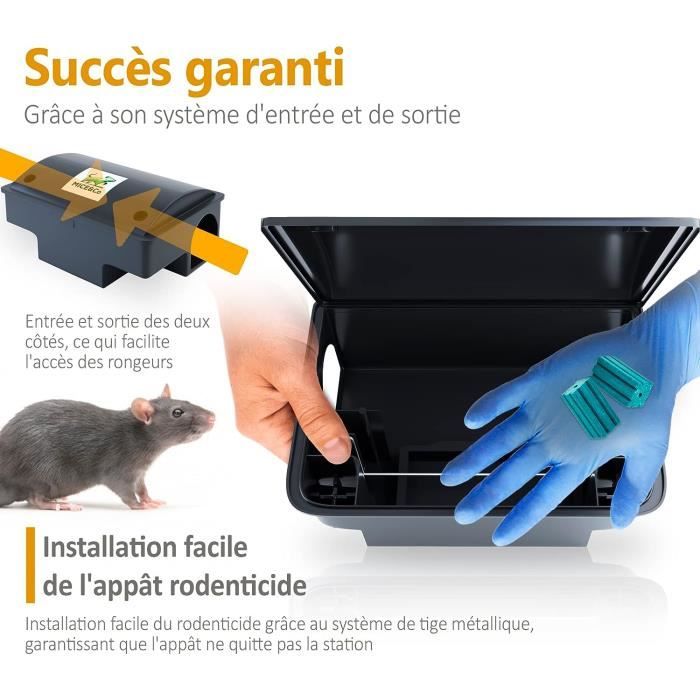 Pièges à Glu ACTO Anti-rongeurs pour Rats & Souris - Support Bois Aromatisé  Noisette - Contrôle des nuisibles