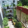 Mini Serre, Petites serres de Plantes, Supports de Rack a 3 Niveaux Portable Garden Green House pour exterieur et interieur 126[196]-3