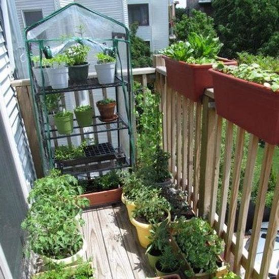 Mini Serre 4 Étages Avec Roulettes | Pour Balcon, Jardin, Intérieur