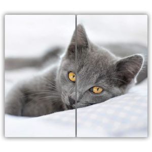 Protege plaque de cuisson induction decor chat - Cdiscount