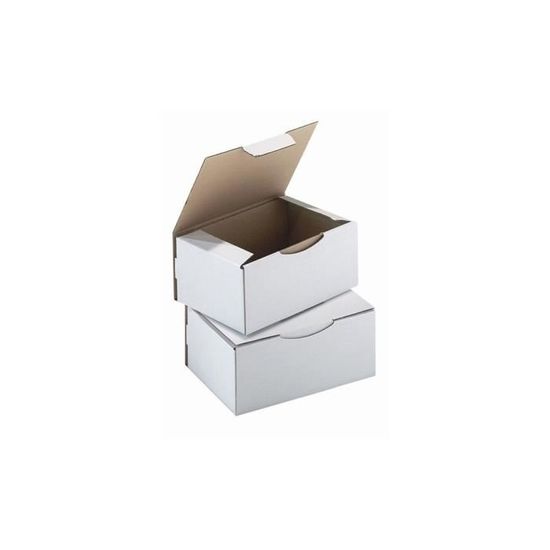 50 Boîtes Postales Carton 250x200x100mm - Pour E-commerce - Qualité 10kg
