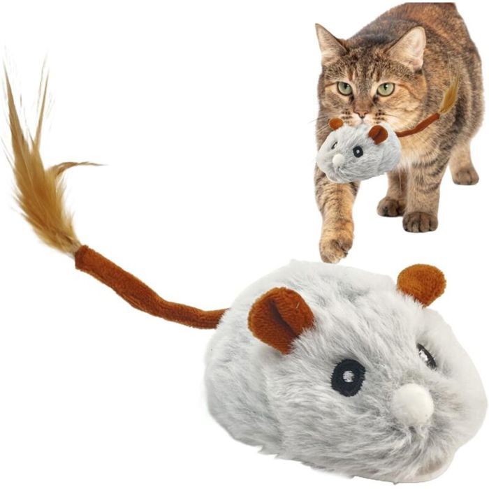 Souris jouet interactif – Recharge USB 2h – Silencieux – pour chat en appartement
