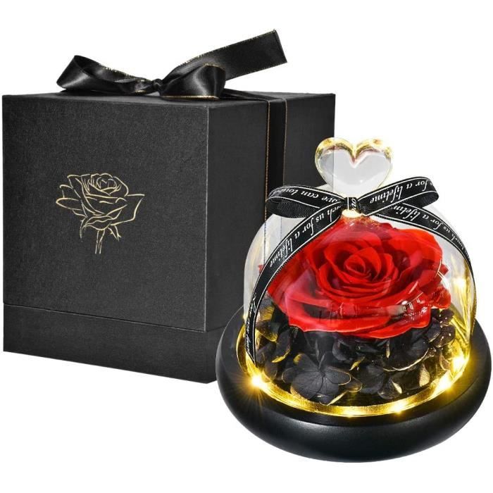 Naturelle Rose Eternelle Sous Cloche, La Belle et La Bete avec des lumières  LED Fleurs éternelles Cadeau pour Femmes et Filles (Red) - Cdiscount Maison