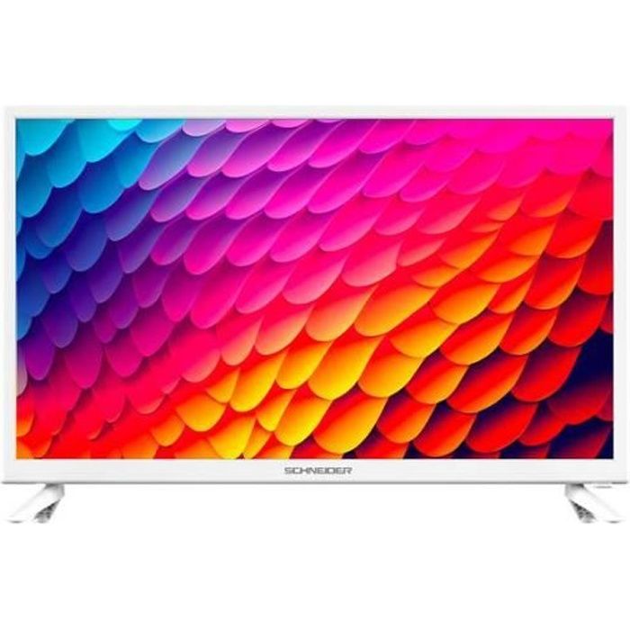 SCHNEIDER Téléviseur 60 cm HD GMS24N100W
