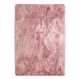 Tapis de Salon ou Chambre Shaggy - Neo Yoga- Tapis Lavable à Base Fine en Microfibre Poils Longs Extra Doux Rose 160 x 230 cm-1