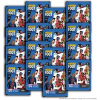 PANINI Foot 2024-2025 – Blister 6 Pochettes (30 Stickers) – Ligue 1 McDonald's – édition Collector