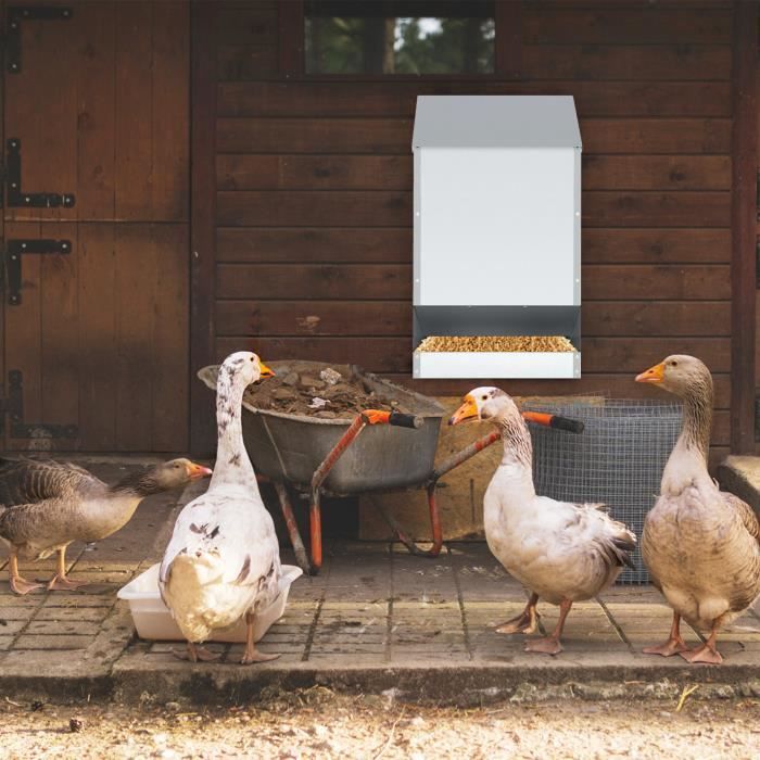 Lot De 2 Distributeurs De Nourriture à Montage Mural Double