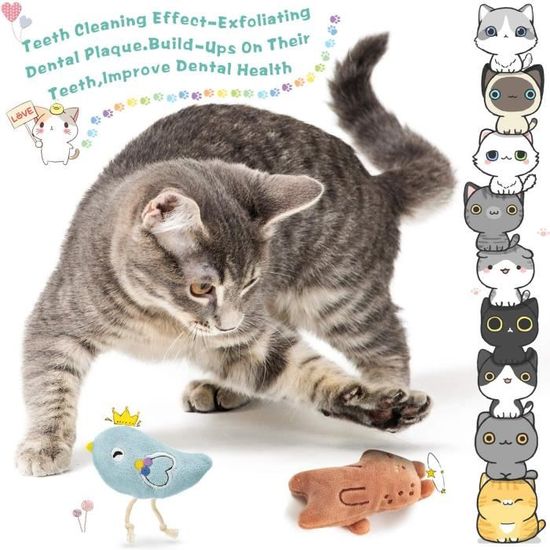 Casse Croute Sain Pour Chat Boule De Bonbons Pour Chat Herbe Aux Chats Gel De Nutrition Boule D Energie Augme Violet Thjr258 Cdiscount