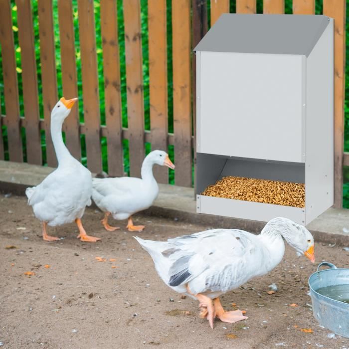 Distributeur Automatique De Grit (coquillages) Pour Poules - En Acier, Portable, Grande Capacité - Pour Poulailler Extérieur, Ferme - 8