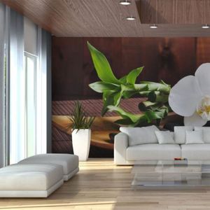 Scarica Gratis Images Papier Peint Bambou Nature Zen 450x270 Achat Vente dernière salutations