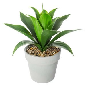 FLEUR ARTIFICIELLE Plante artificielle - Silumen - Aloe Vera décorati