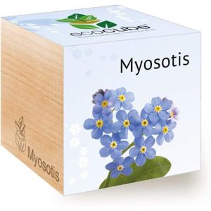 KIT DE CULTURE Ecocube Myosotis (Forgetmenot), Idée Cadeau (100% 