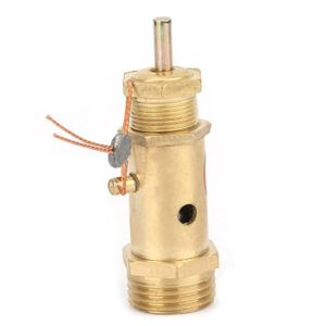 Safety relief pressure valve air G1/4 pour chaudière générateur de vapeur 