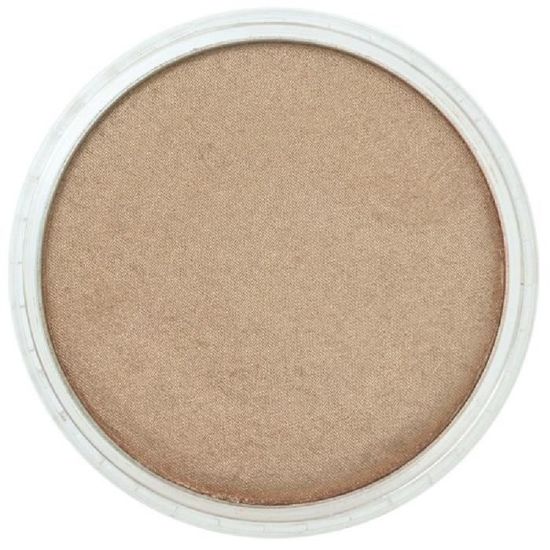 PanPastel Golden Pastels Doré Clair - Pastel Professionnel Format Unique 62mm