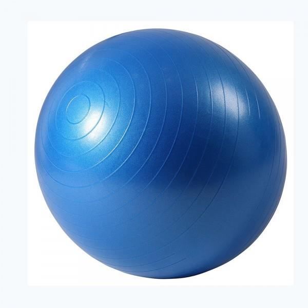 ISE Ballon de gymnastique Anti-éclatement - Ballon d exercice 55cm de Diamètre avec Pompe Bleu SY-2001BL65-FR