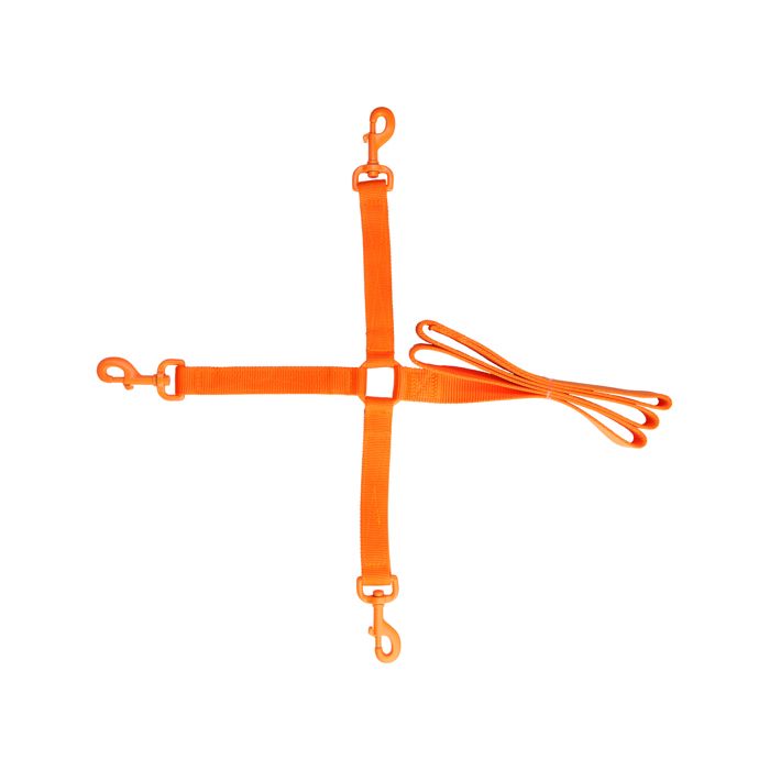 Comparer les prix de Laisse pour chien accouple 3 EUROHUNT HP&G