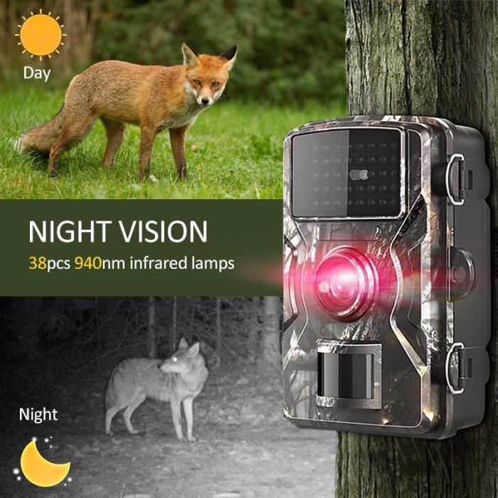 Caméra de Chasse 32MP 1296P avec Carte SIM et Carte SD de 32Go Vision  Nocturne IP66 Grand Angle - Caméras de surveillance et pièges photo  (9952508)
