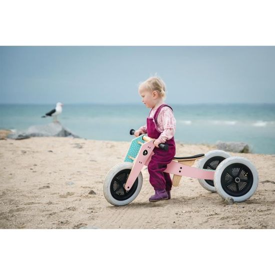 wishbone design bike