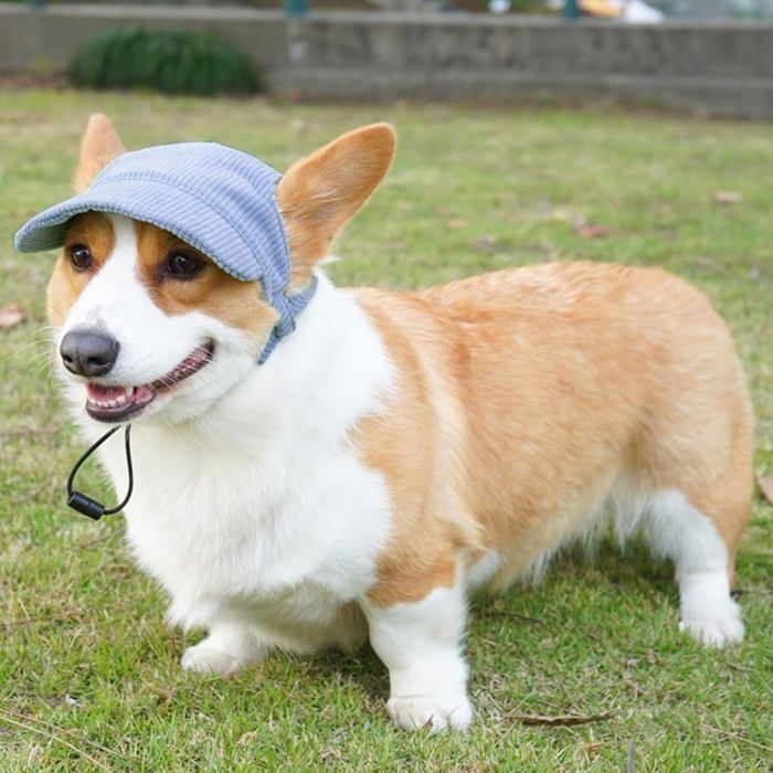 Casquette De Baseball Pour Chien - Protection Solaire, Trous Pour Oreilles, Réglable - Taille S/M - 4