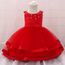 Fete D Anniversaire Robe De Soiree Fille Enfant Noel Broderie Dentelle Robe De Princesse Mariage Costumes C13 Rouge Achat Vente Robe Cdiscount
