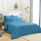 Housse de couette - MATIN CALIN - 240 x 220 cm - 100% Coton - Turquoise - Lavable en machine